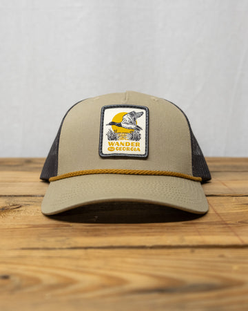 Duck Tales Hat